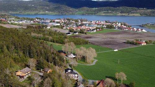 Picture of the author