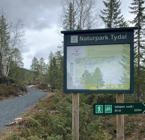 Picture of the author