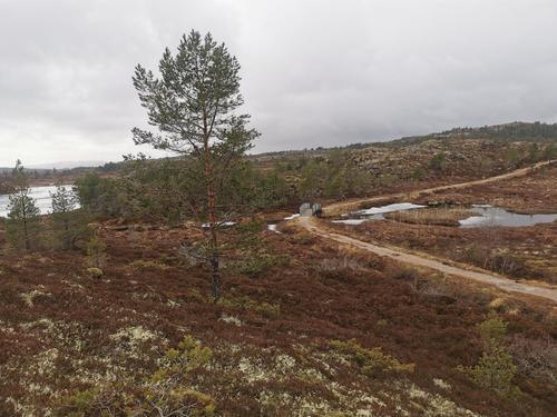 Picture of the author