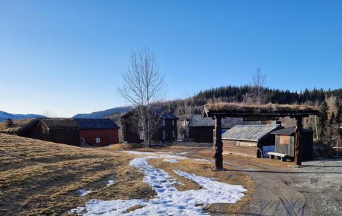 Picture of the author