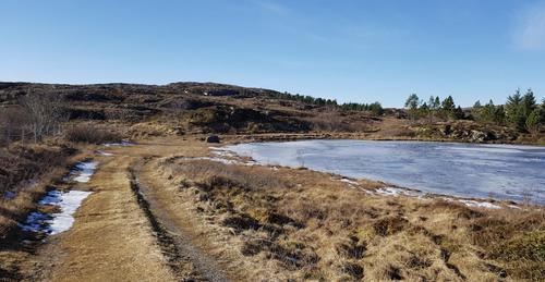 Picture of the author