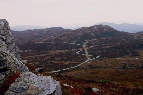 Picture of the author