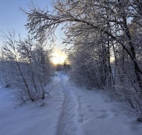 Picture of the author