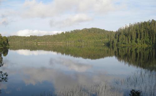 Picture of the author