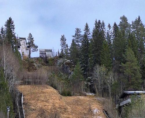 Picture of the author