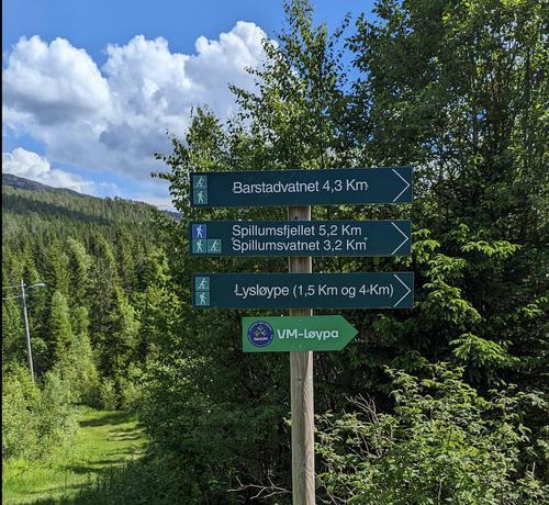 Picture of the author