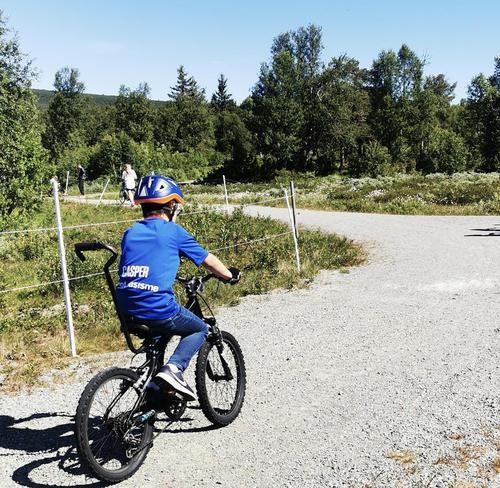 Picture of the author