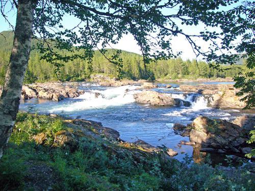 Picture of the author