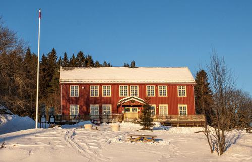 Picture of the author