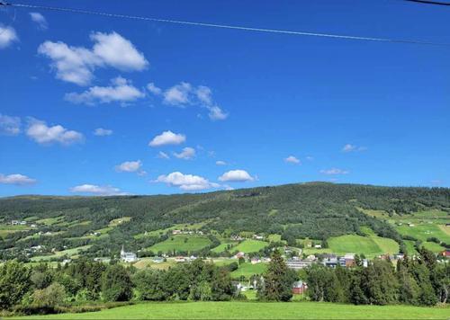 Picture of the author