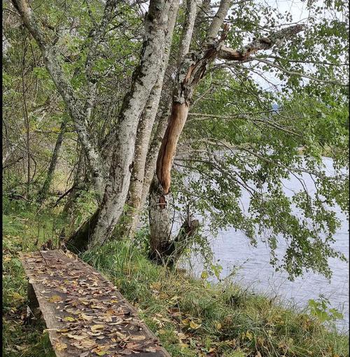 Picture of the author