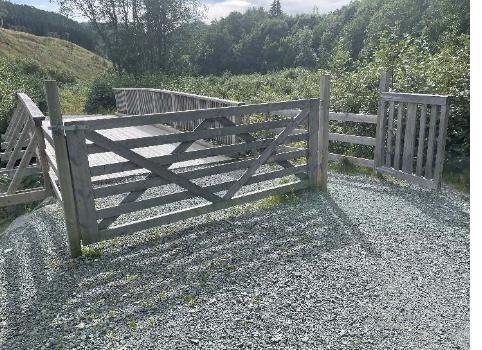 Picture of the author