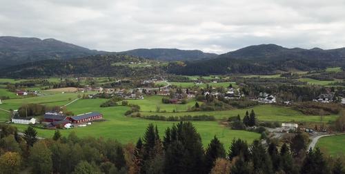 Picture of the author