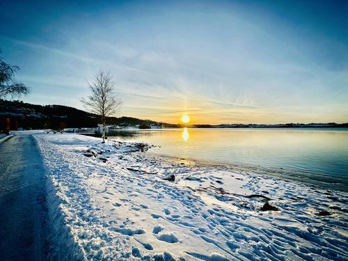 Picture of the author