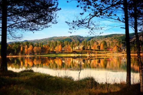 Picture of the author